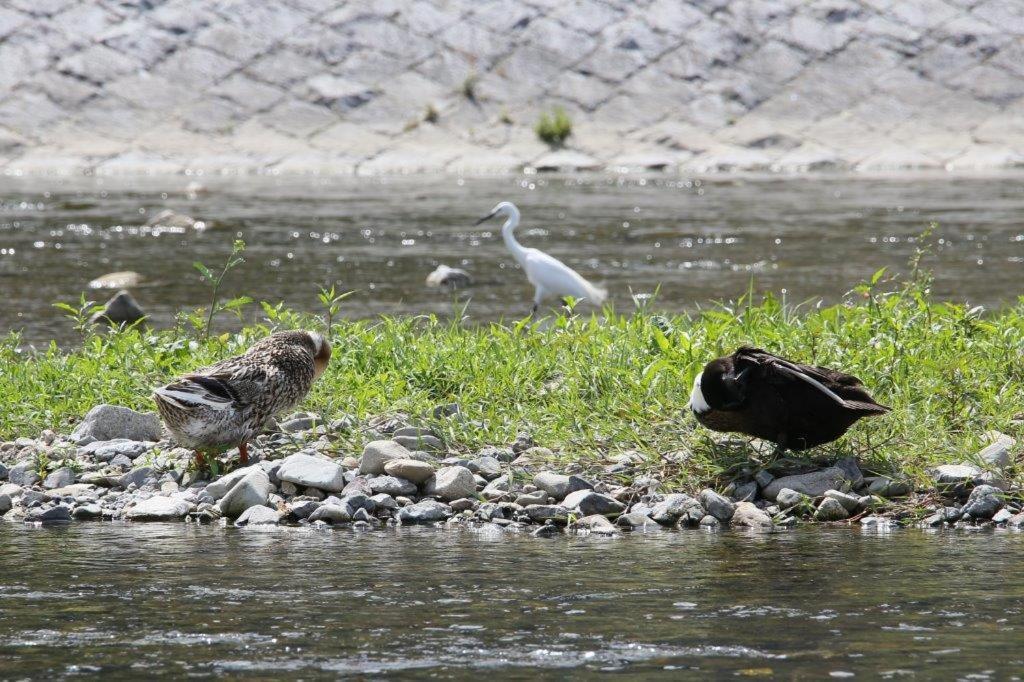 Kamogawa Nanajo Villa Kiotó Kültér fotó